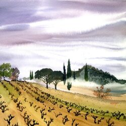 Mini Provence - Vignes