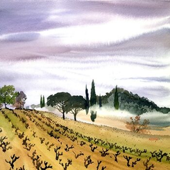 Mini Provence - Vignes